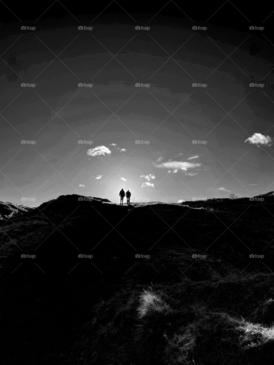 Walking up the hilly heath on a super bright sunny Winters day after days and days of rain ☔️ … a very memorable family walk !