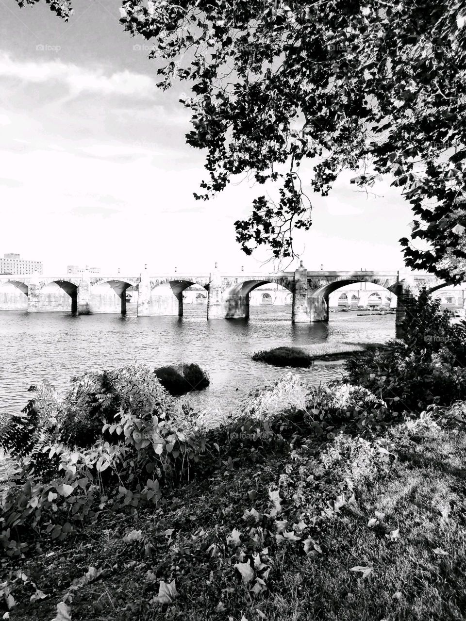 Bridge in Harrisburg