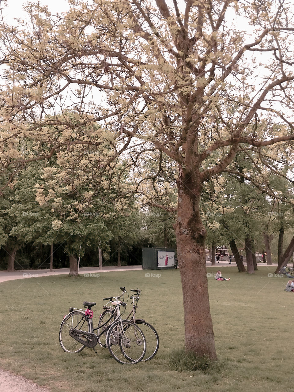 Vondelpark in Amsterdam