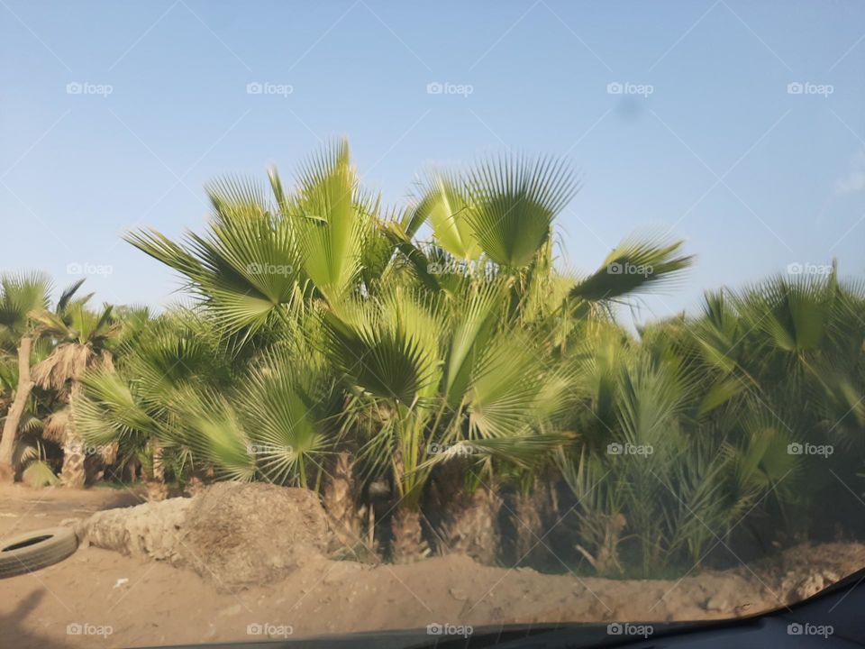 Please make me happy, I am poor, I need your help with support