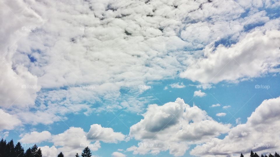 sky. beautiful clouds over a blue sky