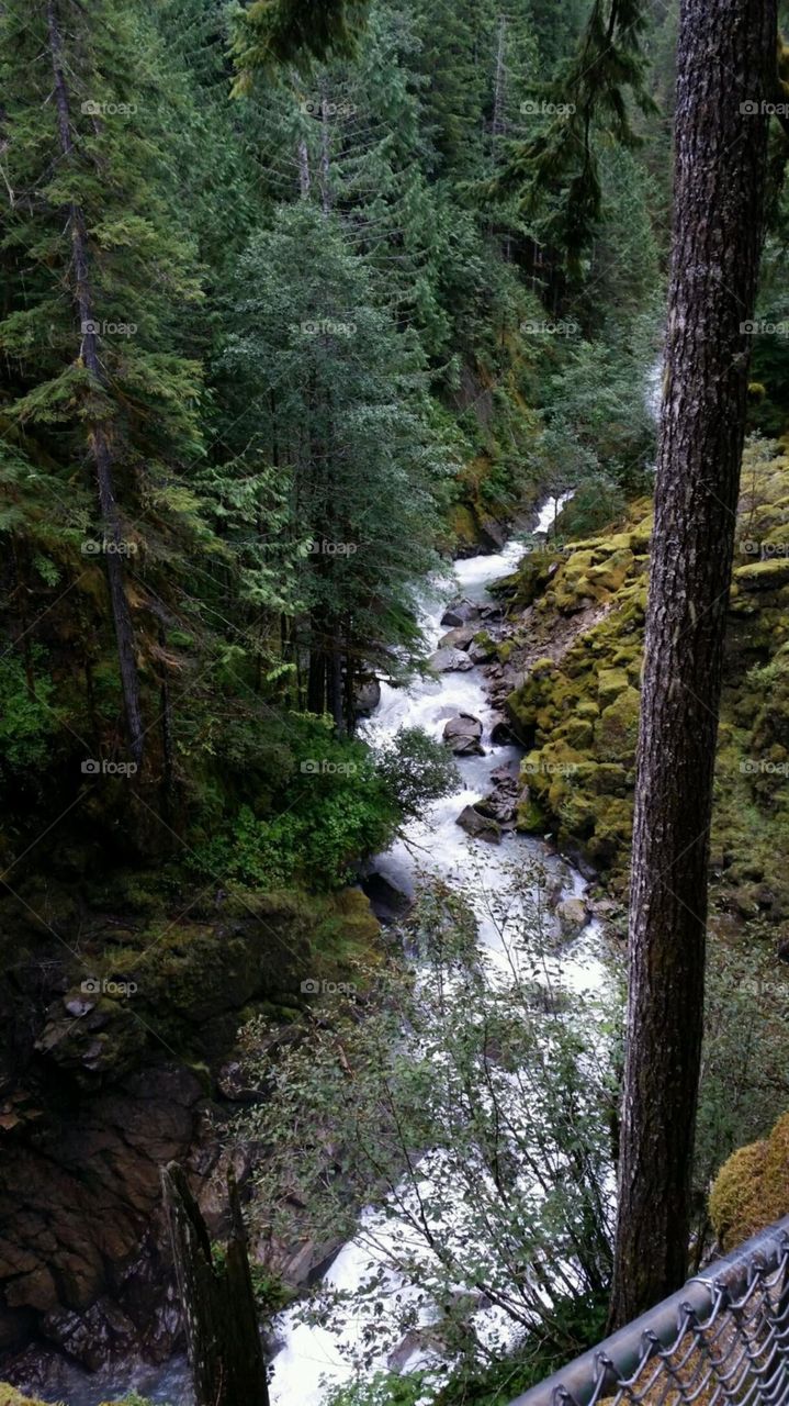 Nooksack Falls . Nooksack Falls,  Washington 