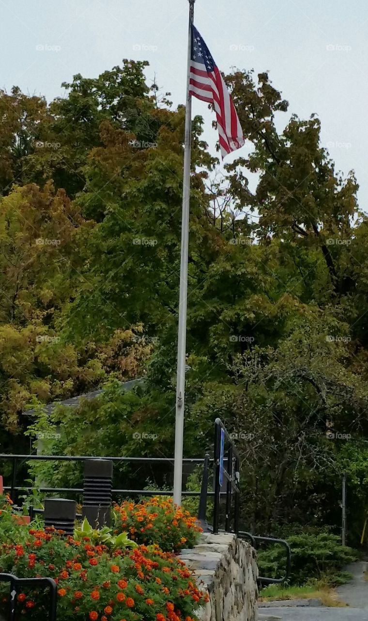 Fall flag