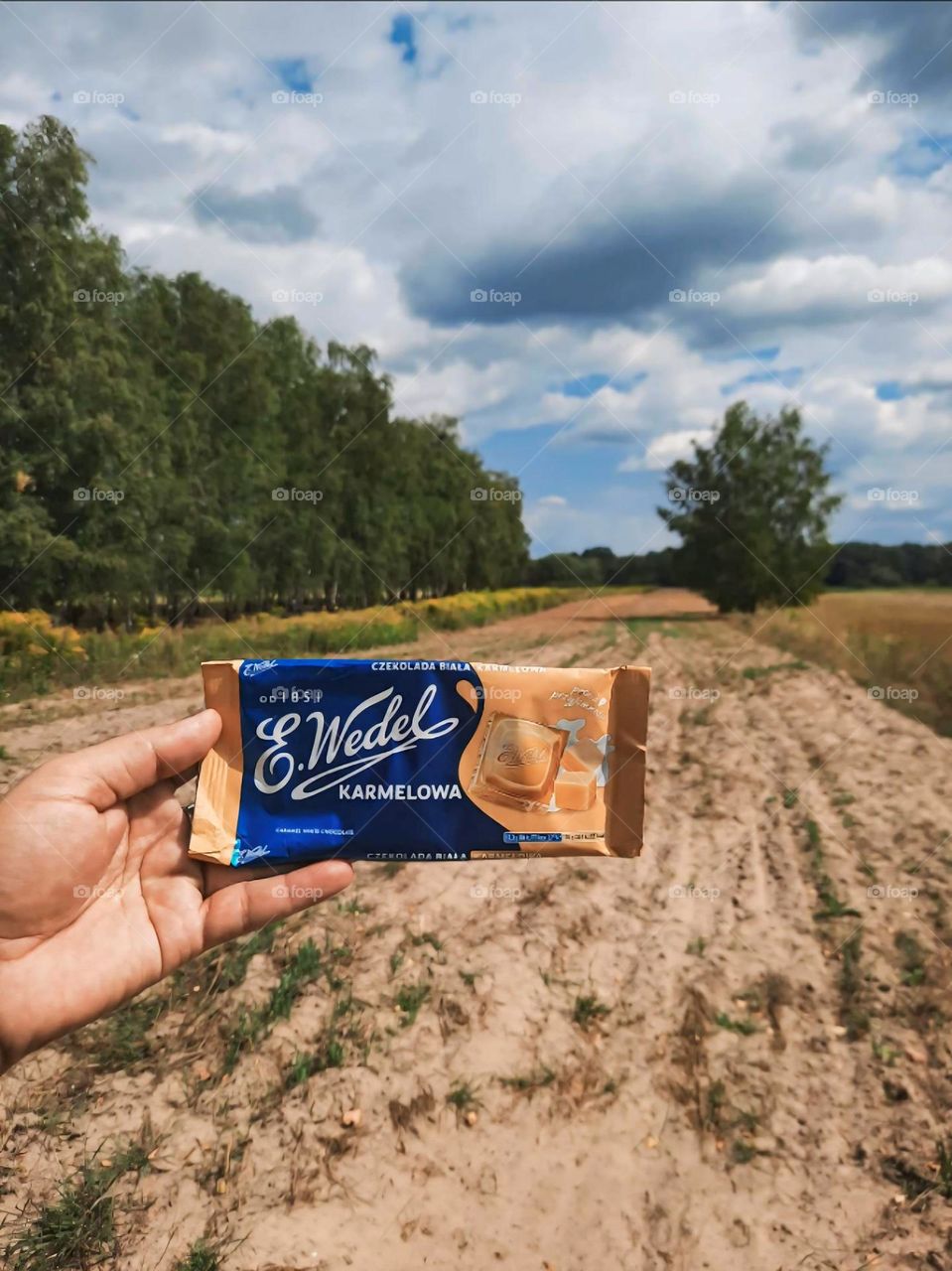 E Wedel Chocolate Bar in Natures Embrace