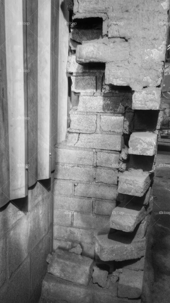 Bricks