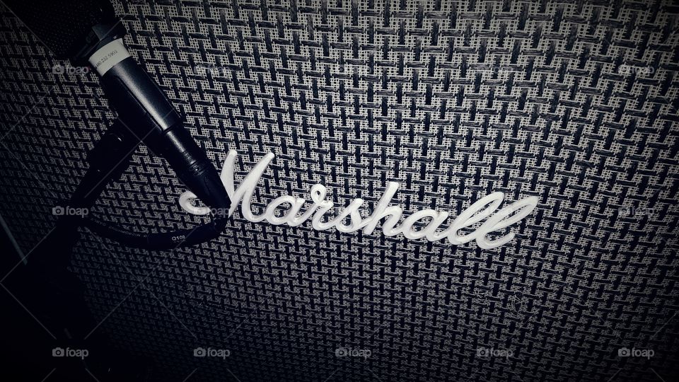 Marshall amplifier with microphone