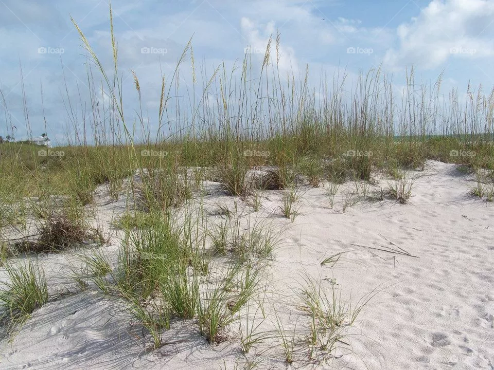 beach