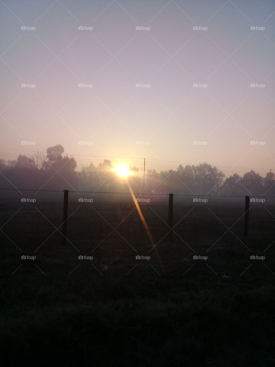 fotografía de un amanecer de invierno en una zona rural de la provincia de Buenos Aires.