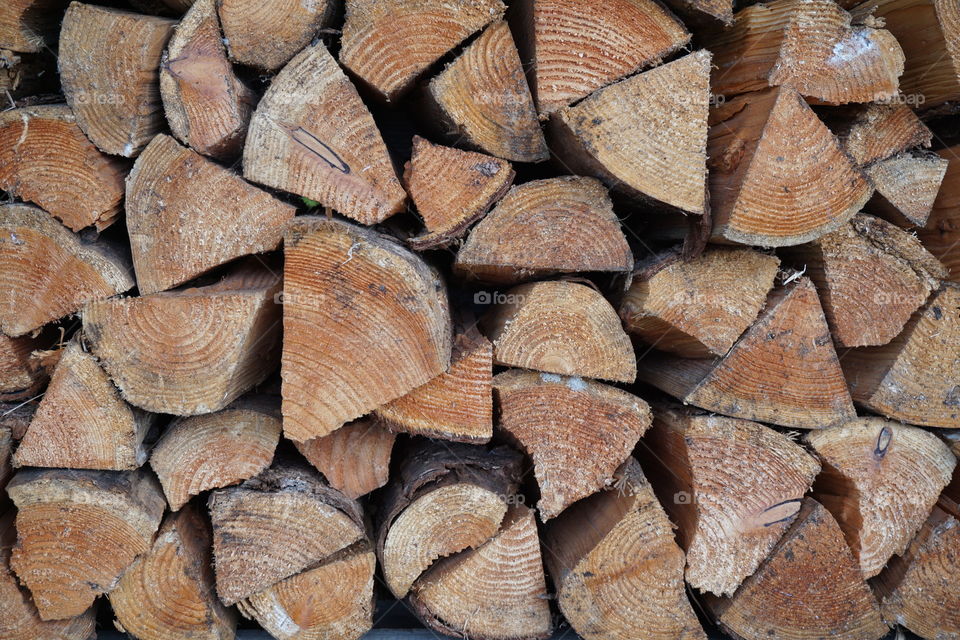 The Wood Pile