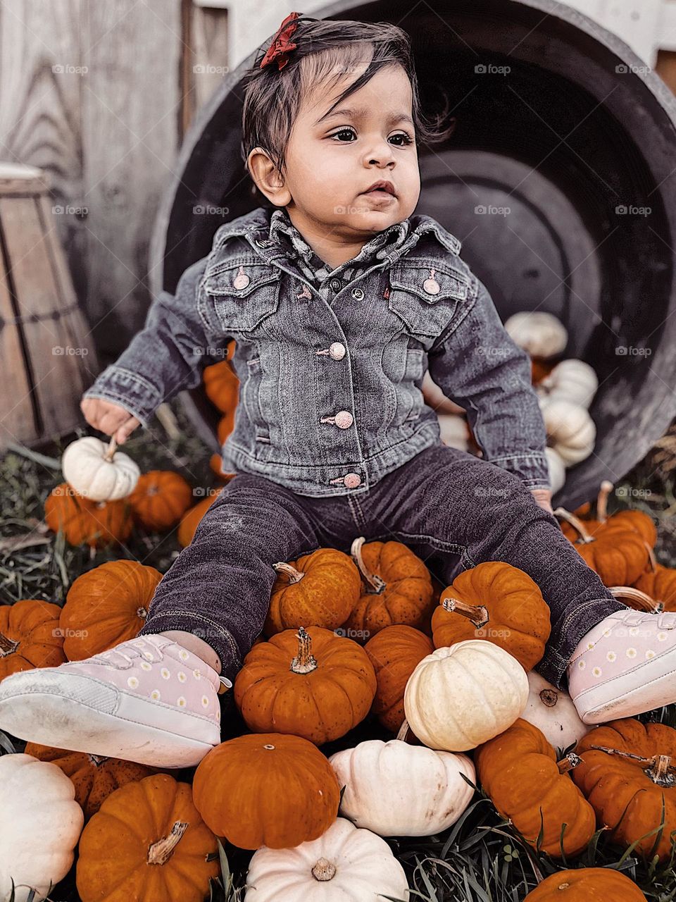 Baby girl sits on top of a pile of pumpkins, baby girl at the pumpkin patch, first time at the pumpkin patch, fall fun festivity, family fun in the fall time