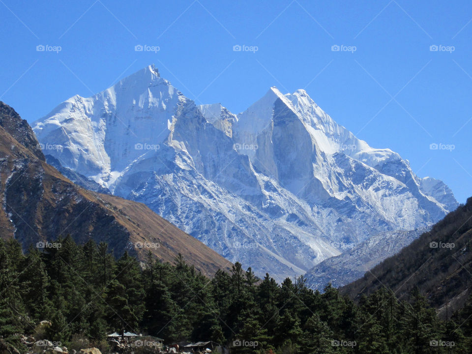 Gangotri National Park