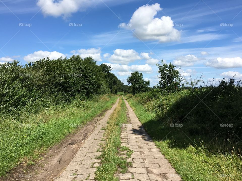 Northen German field path