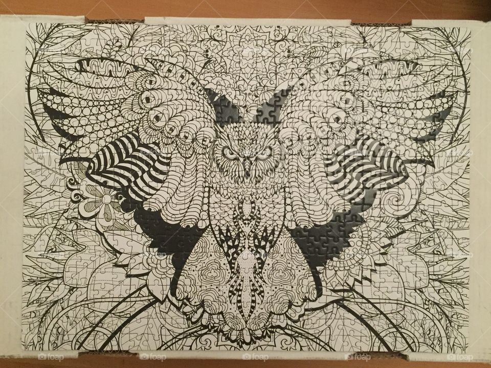 Owl Puzzle 