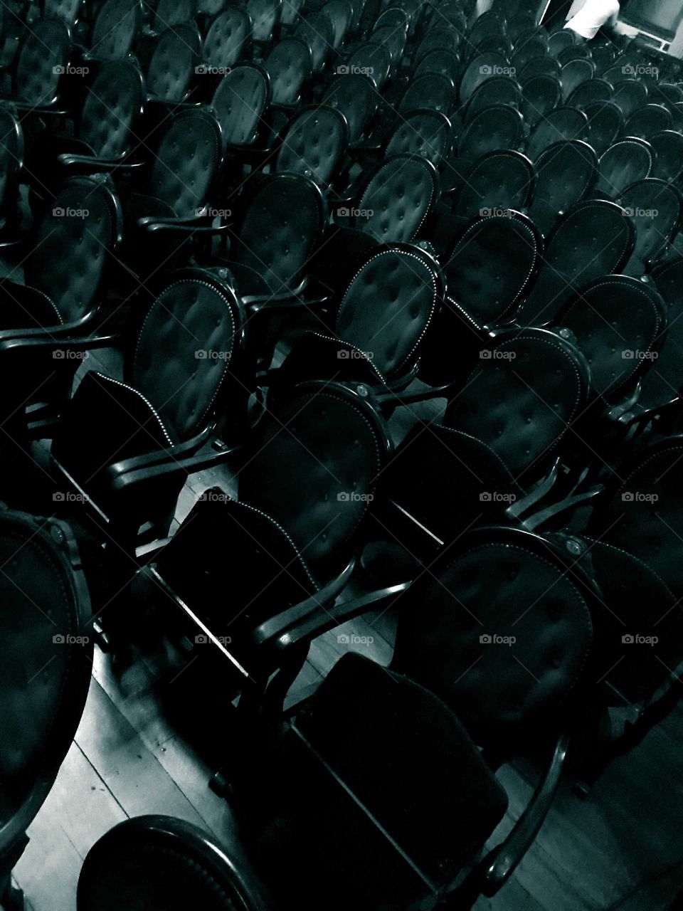 Teatro Amazonas. Platéia.