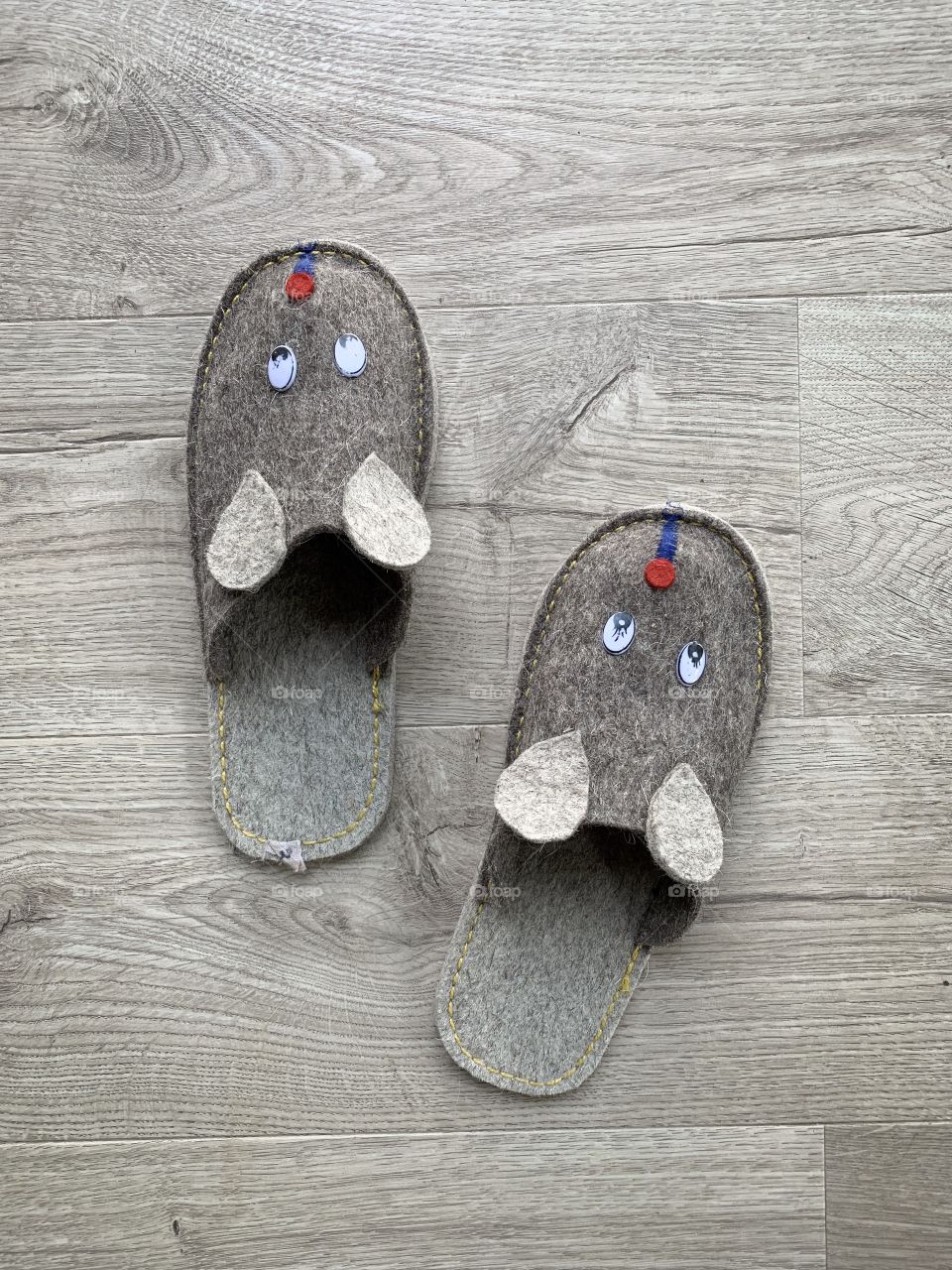 Home shoes with mouse face