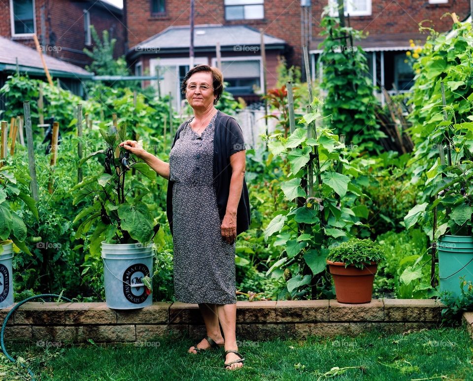 Grandma's Garden. Proud grandmother with her urban organic veg garden
