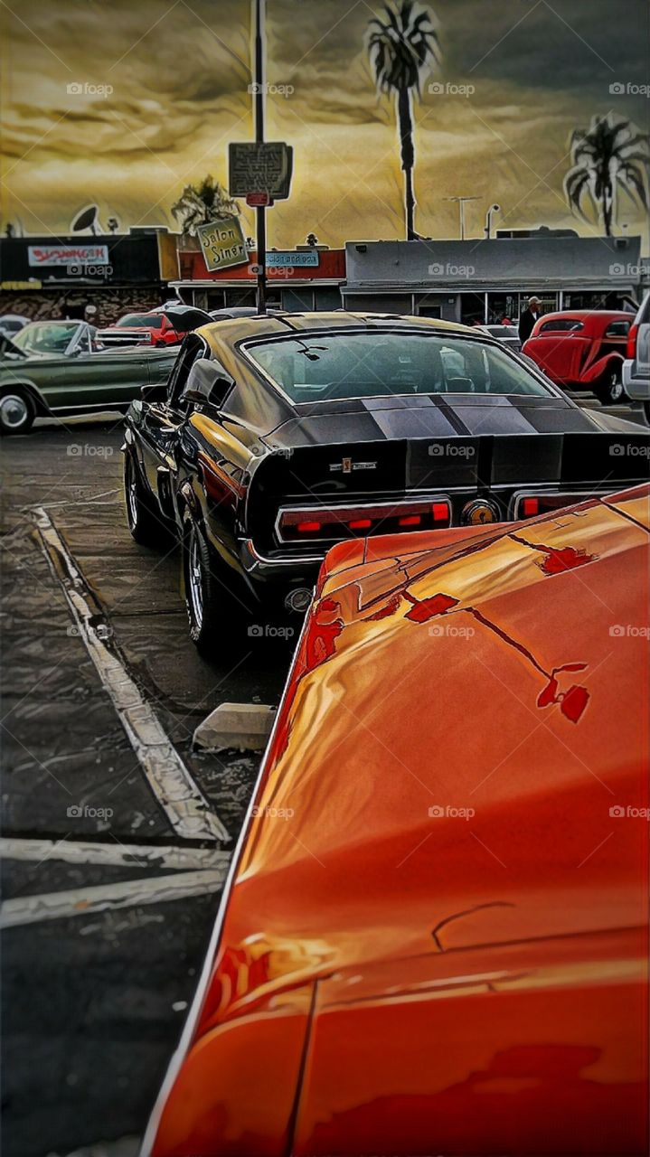 Mustangs
