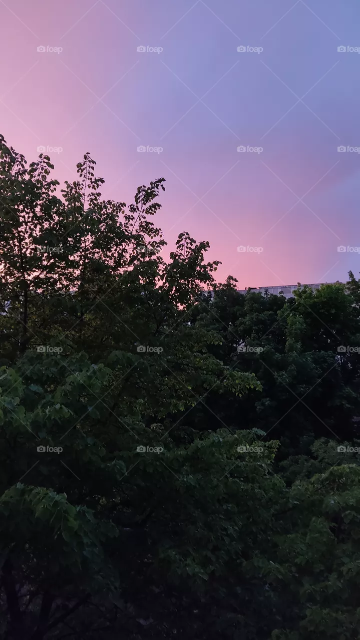 nice evening