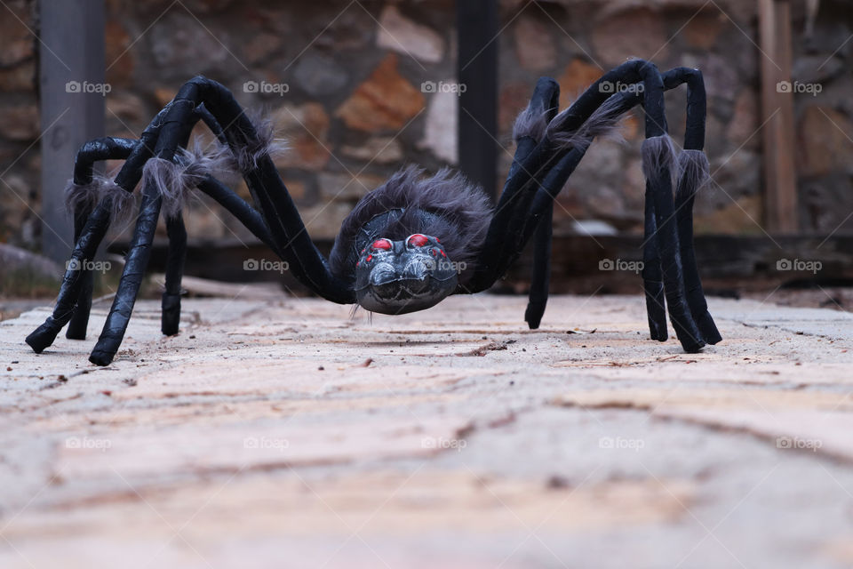 Black, large spider, Halloween decoration