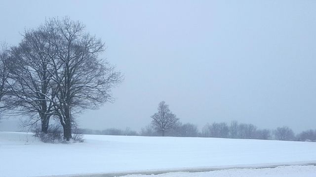 Winter Landscape