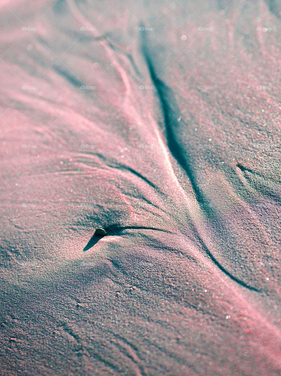 Evening sunlight on beach sand