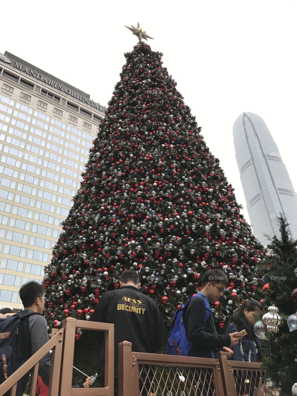 Holiday, Christmas tree, Hong Kong 