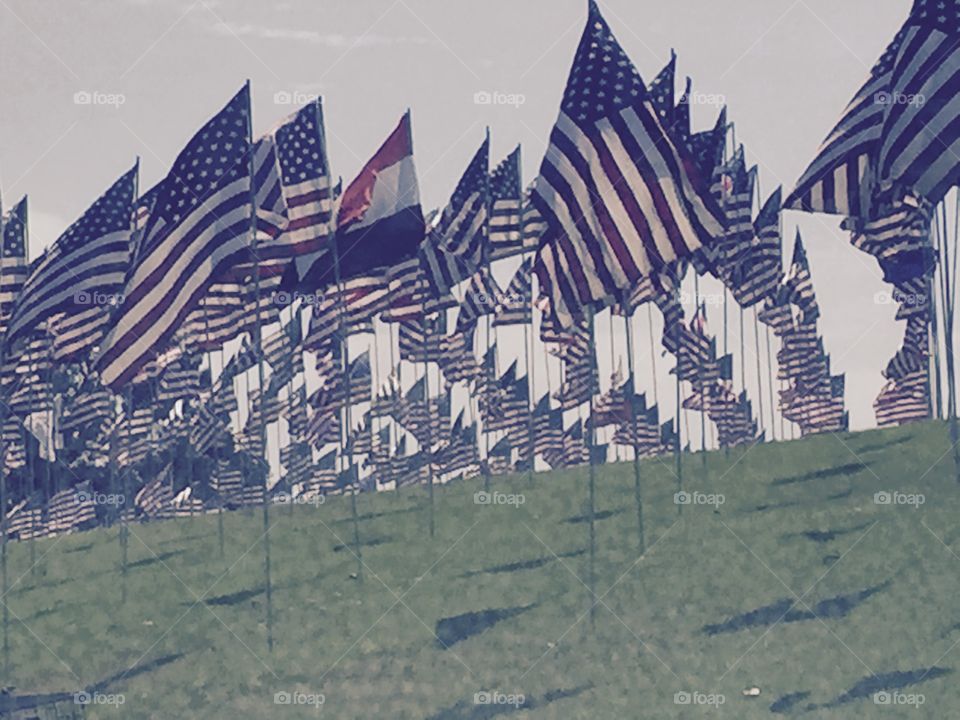 Flags honoring every victim of 9/11