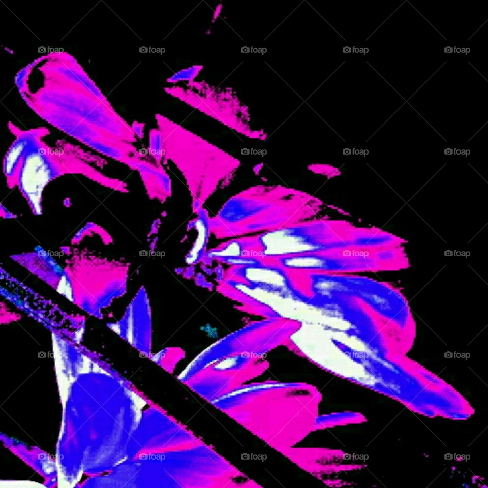 on butterfly wings.... lighting effects