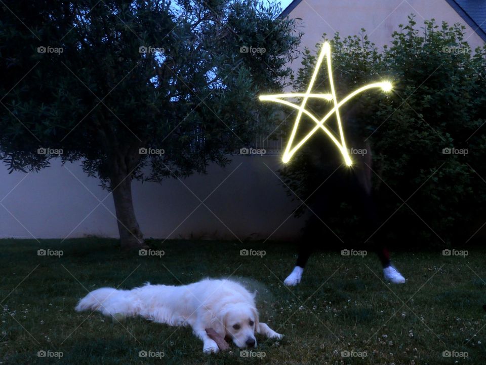 Light painting. Star drawn with a light and the use of a long exposure. The dog did not move!