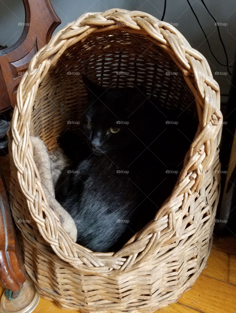 vintage wicker cat bed with oval braided opening. This cat bed is her safest place for watchin or just sleeping.