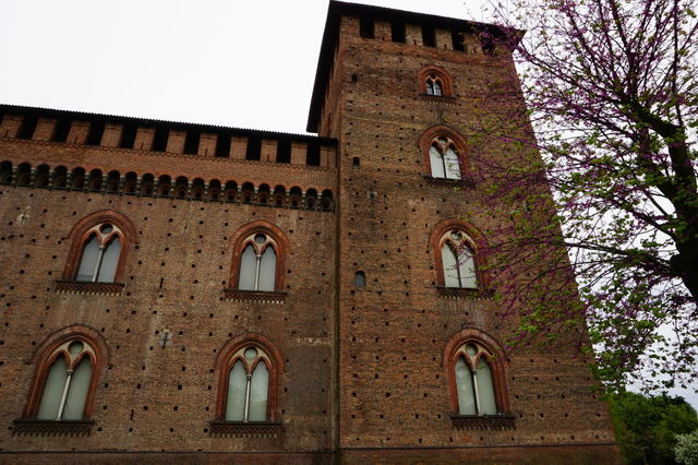 pavia