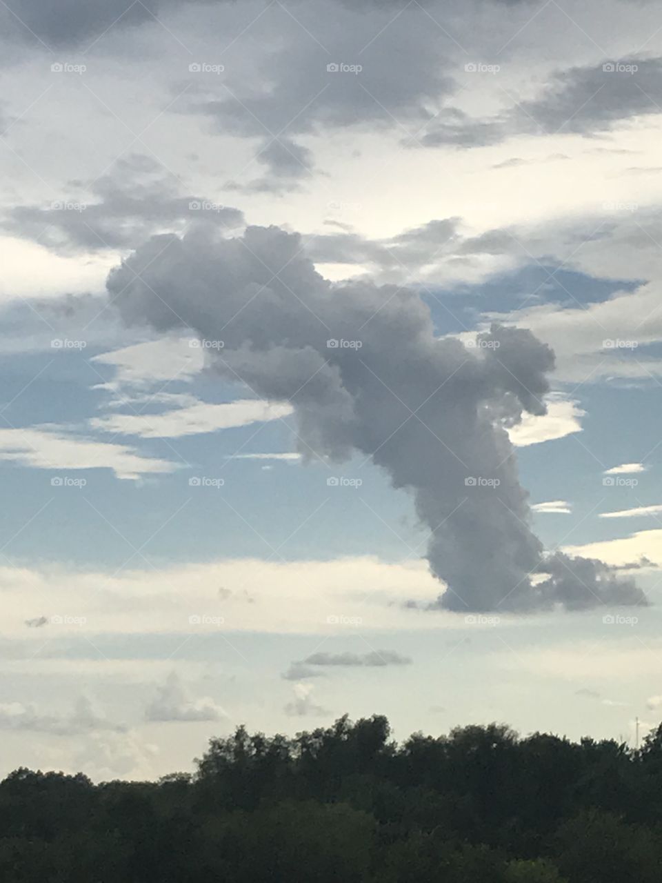 What do you see in the clouds 
