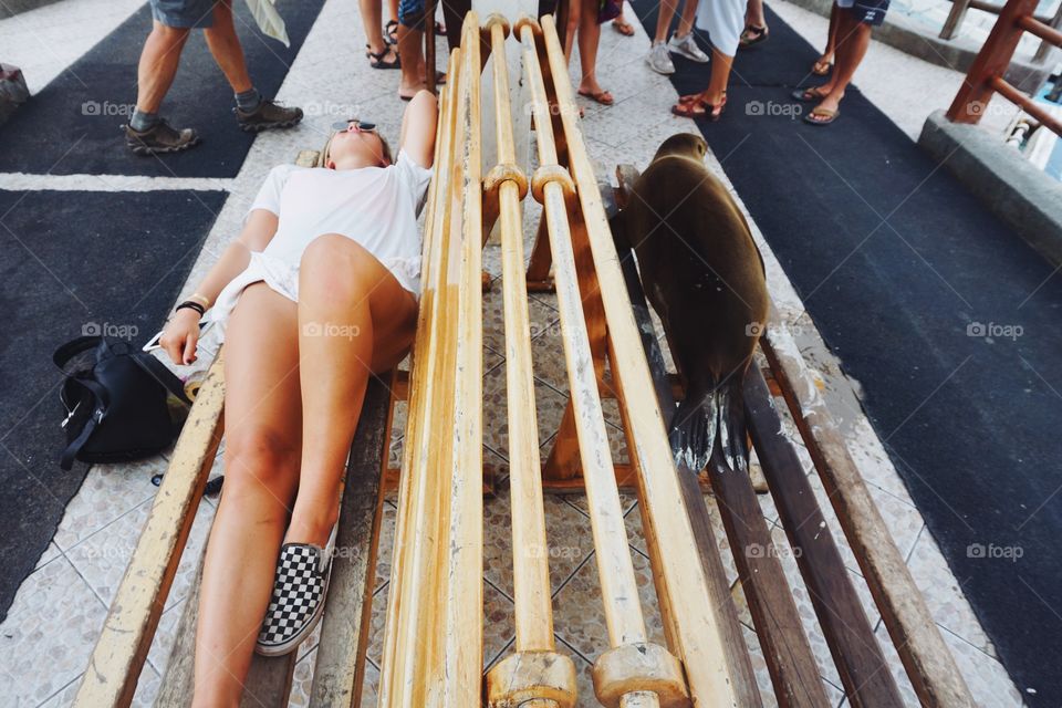 Sleeping with Seals!