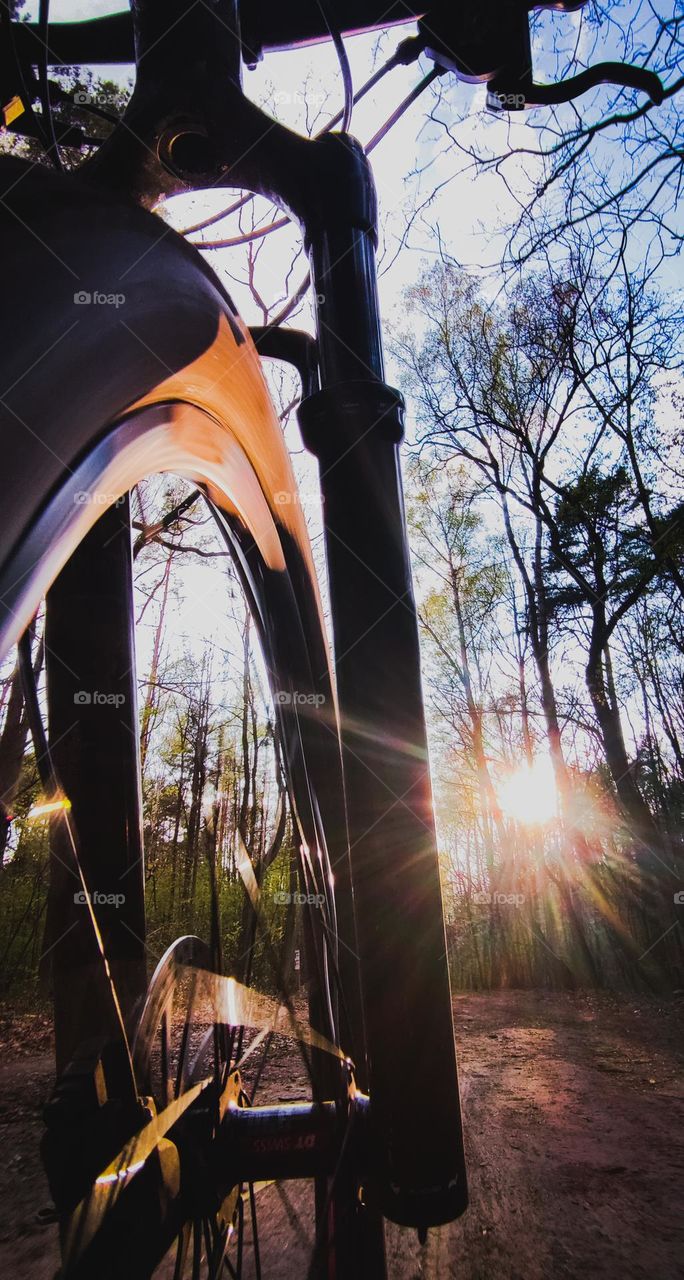 riding my bike in forest