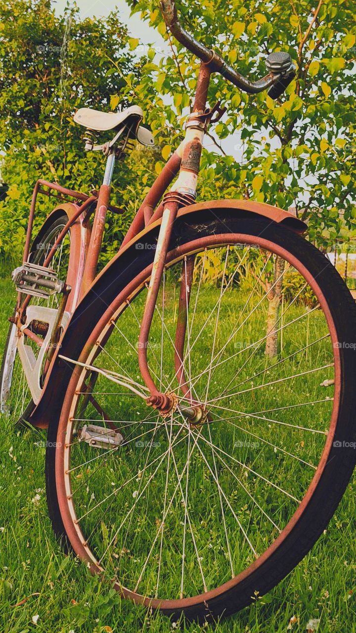Beautiful old bicycle