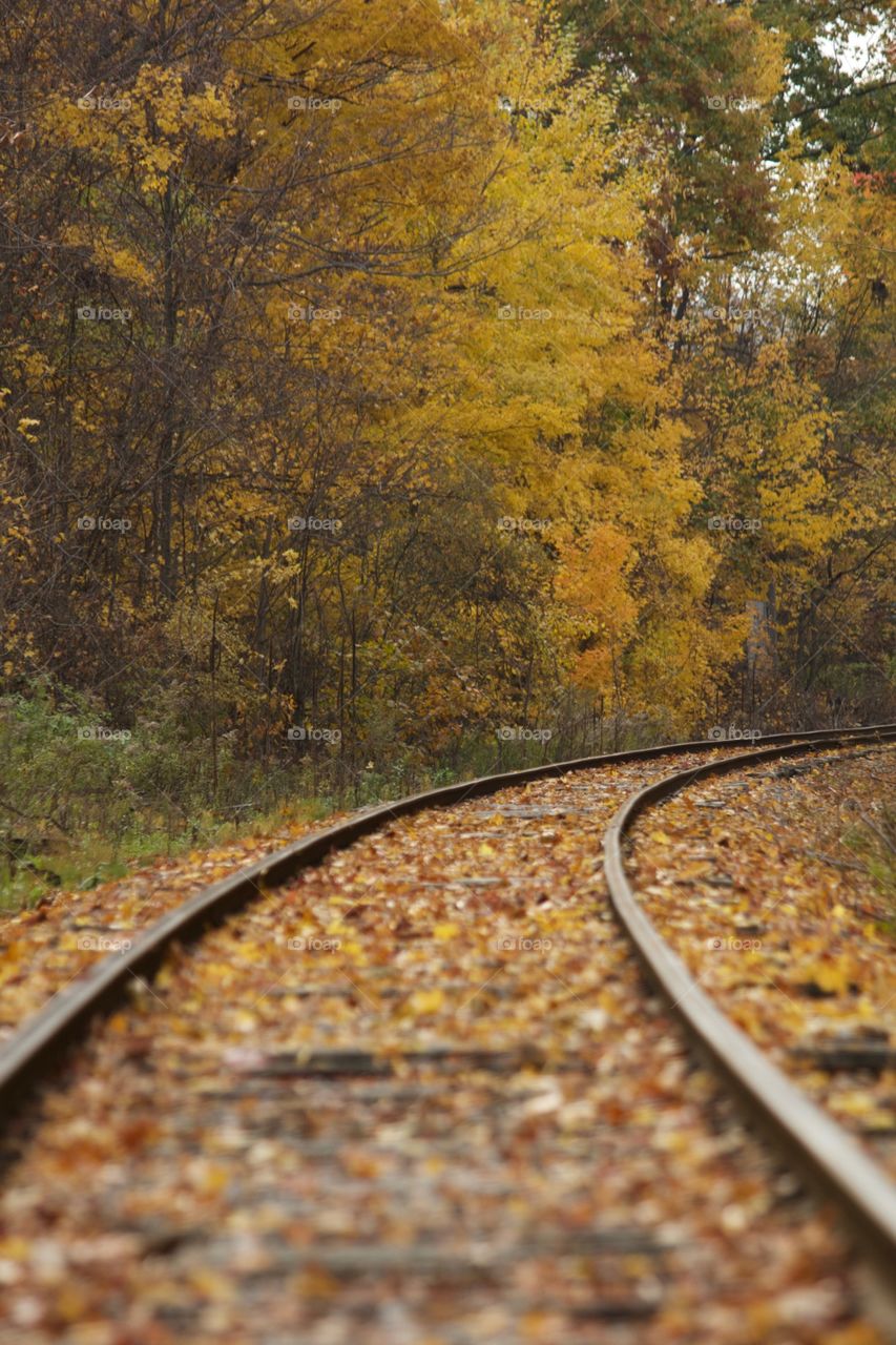 View of railroad track in autumn