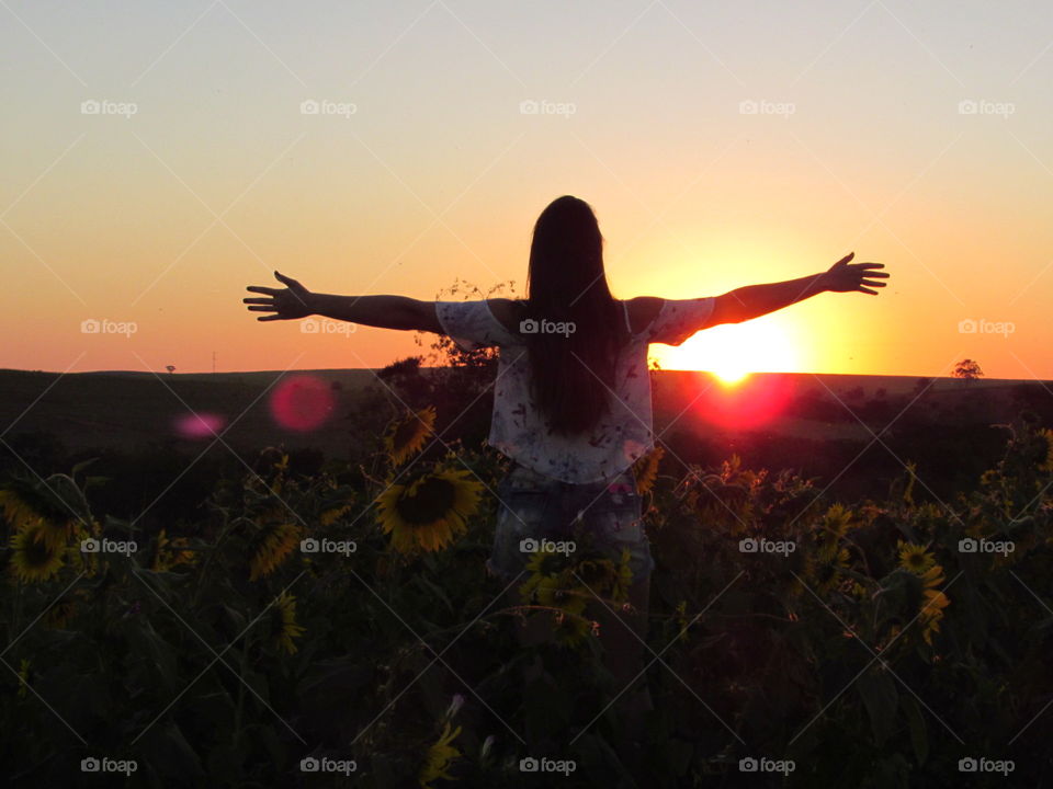 Beautiful sunset in the sunflower field.../ Lindo pôr do sol no campo de girassóis...