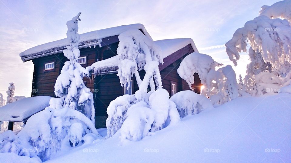 Scenic view of house in snow