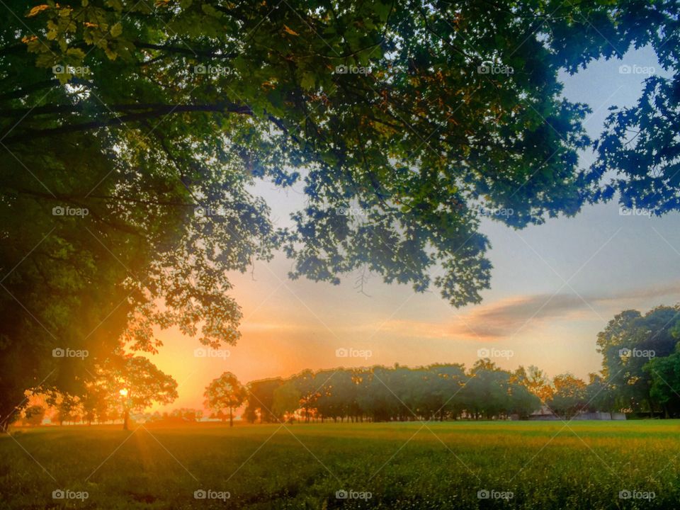 Golden sunrise over the countryside 