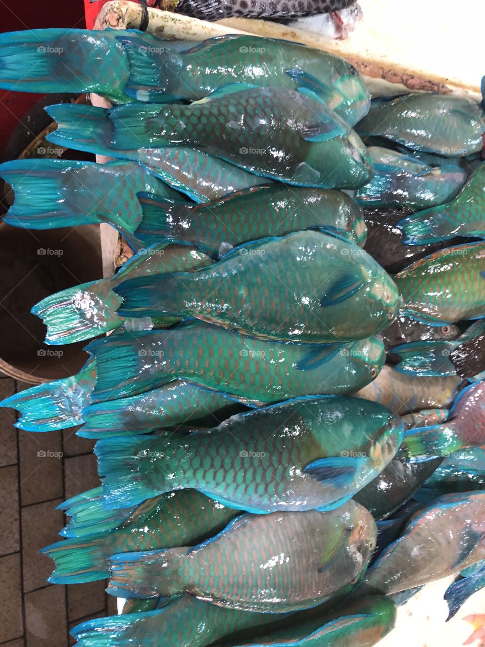 Seafood Heaven in Borneo ‘Tawau, Sabah’ ! 