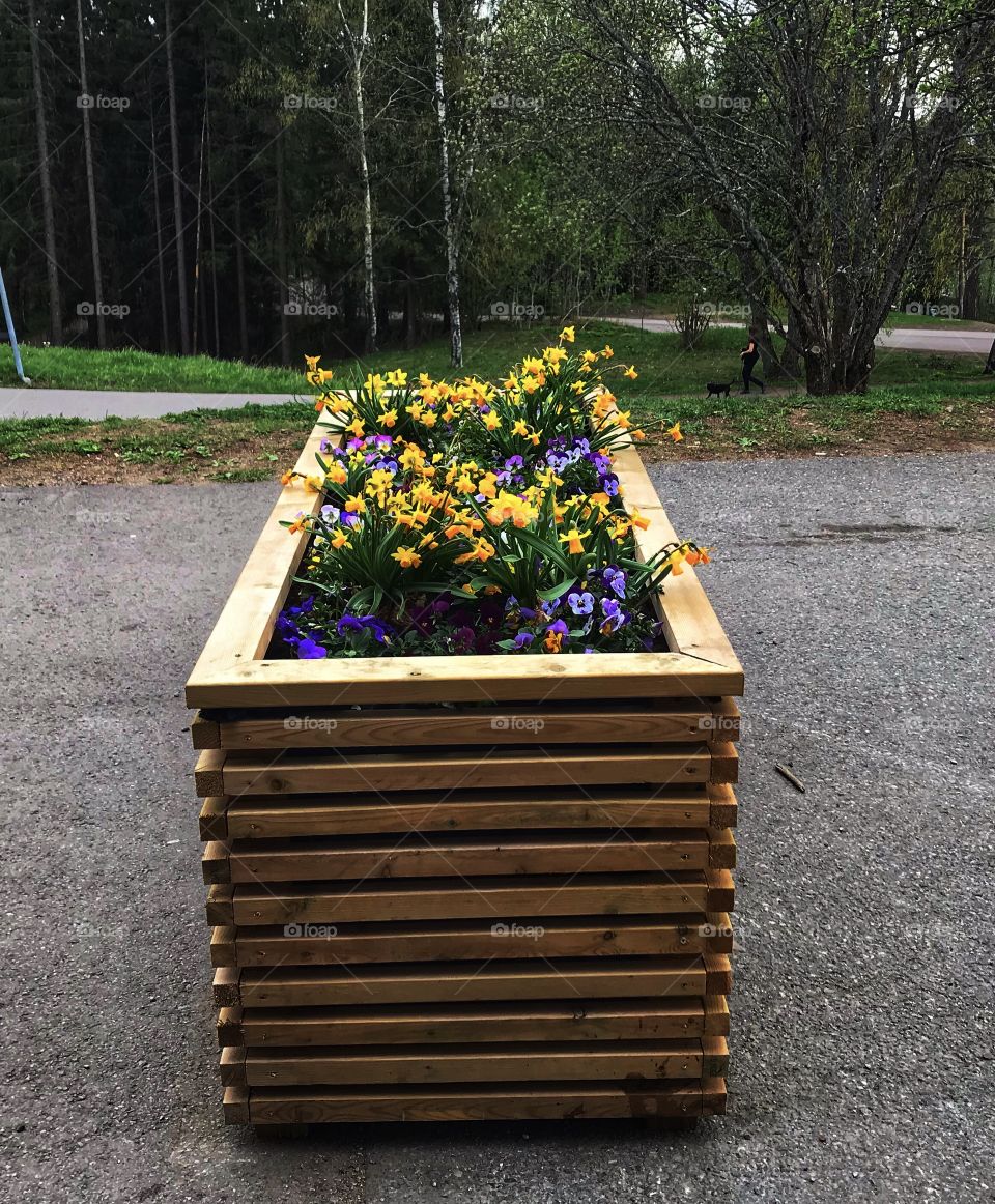 Beautiful flowers in park decorated on wooden box