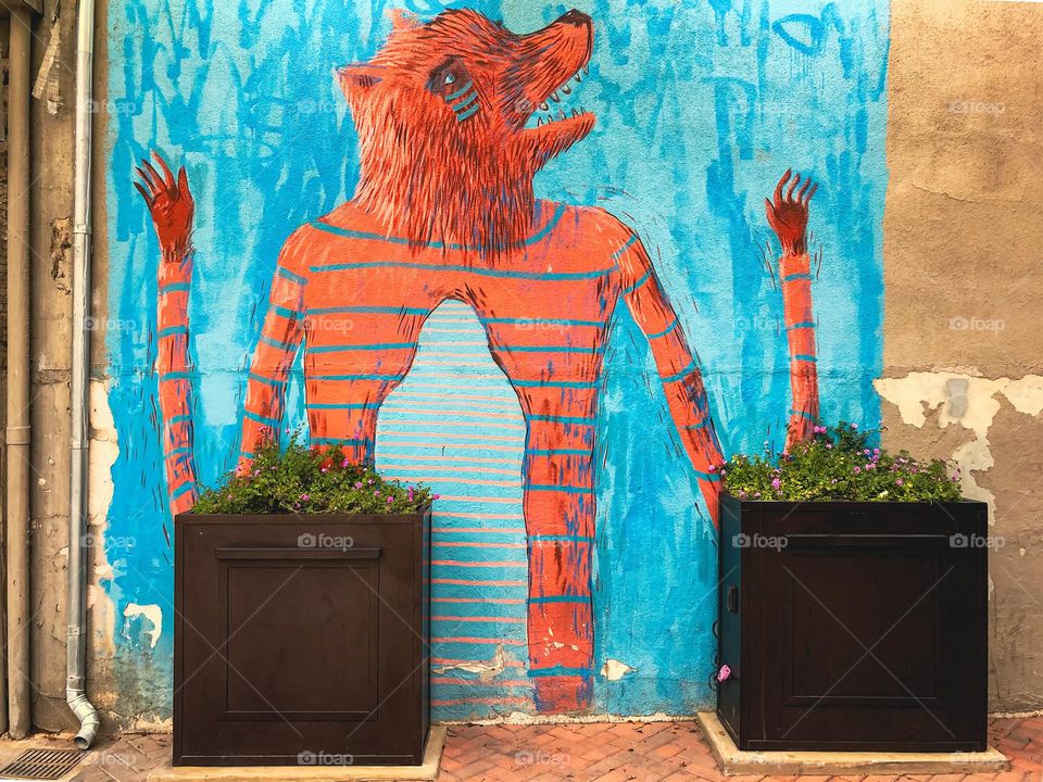 The Orange Street Alley Lion? Fox? Monster? IDK
