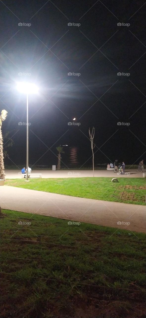 the beach at night moon and sea