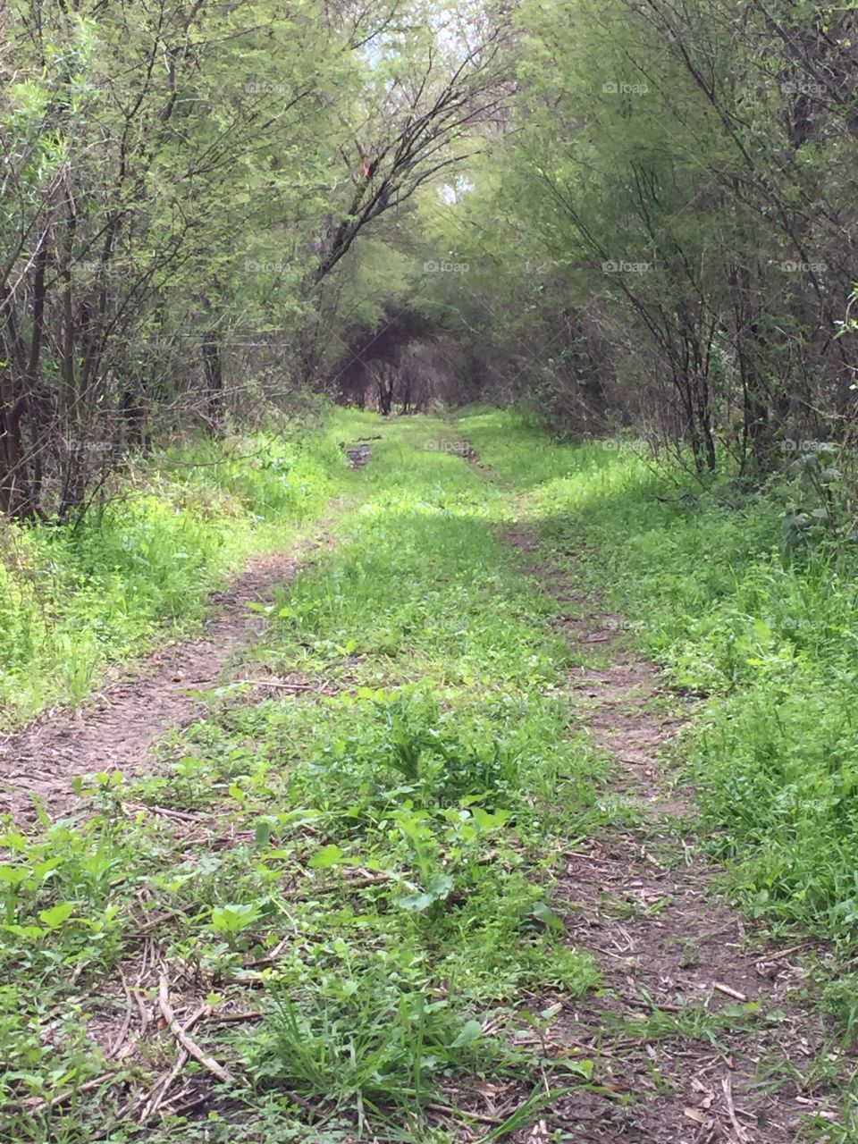 Nature walk down uvalde texas