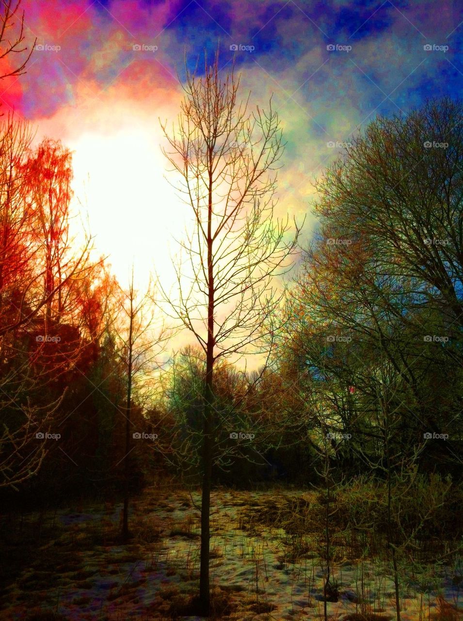 The Sun looking forward more and more!