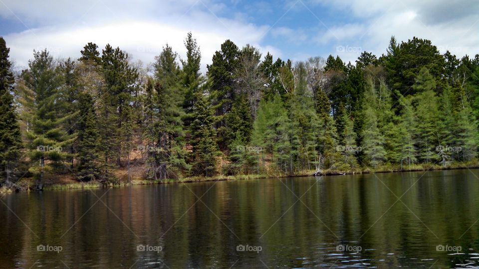 Beautiful Trees Lake View. Mid-May Northern Wisconsin Lake