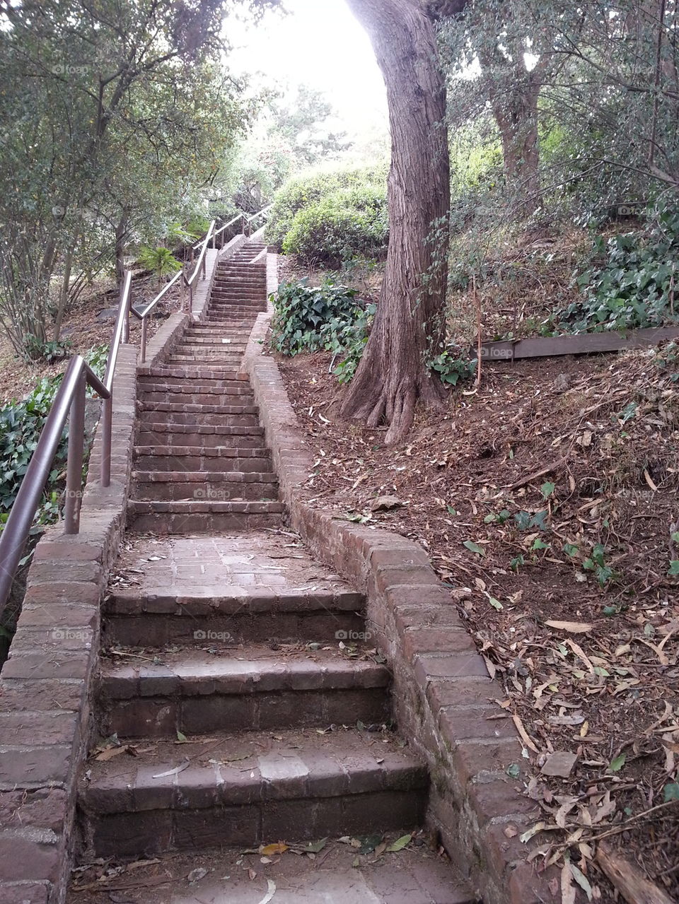 stair way in the park