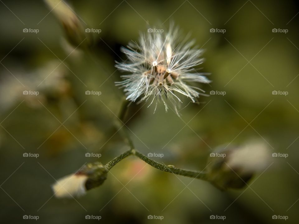 wonder of micro 🌎