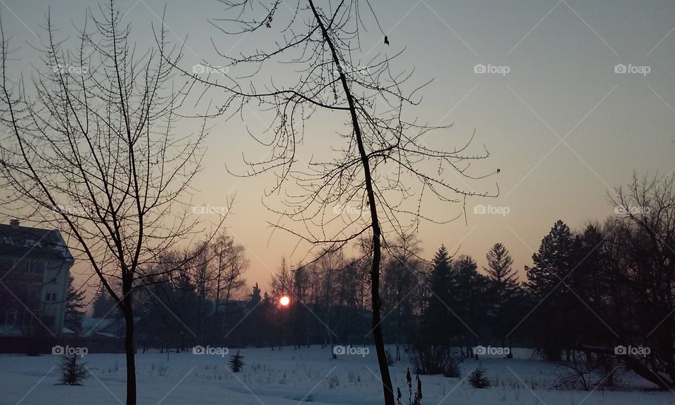 #sunset#park#winter