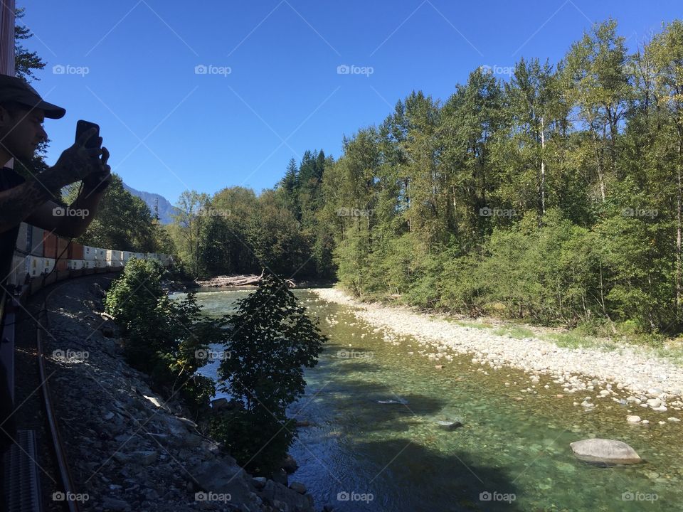 Tree, Landscape, Water, River, Recreation